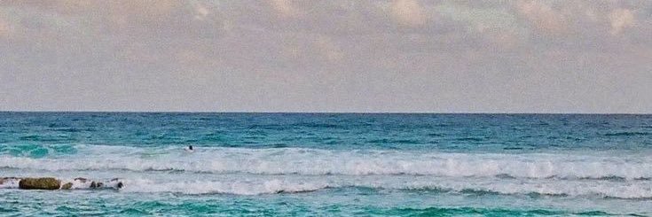 el banner