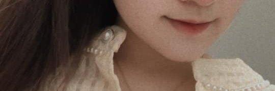 phuong anh banner