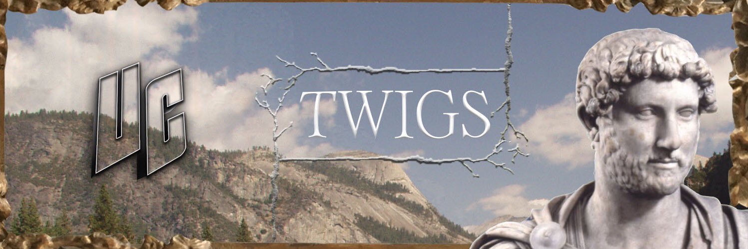 LikedTwigs's profile banner image