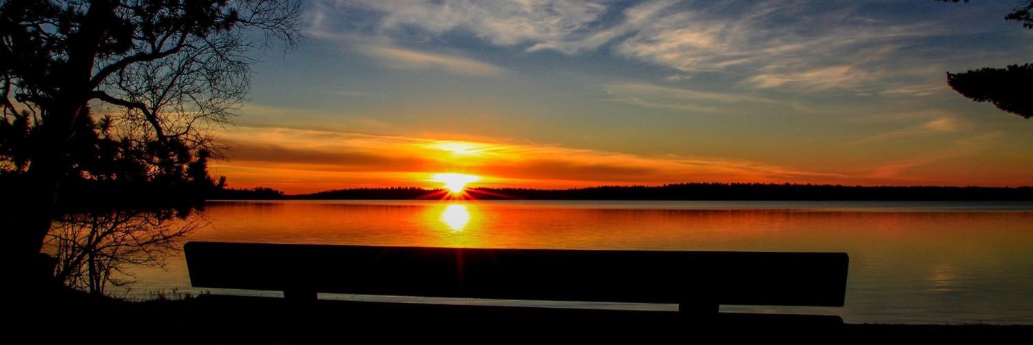 BarbDreger's profile banner image