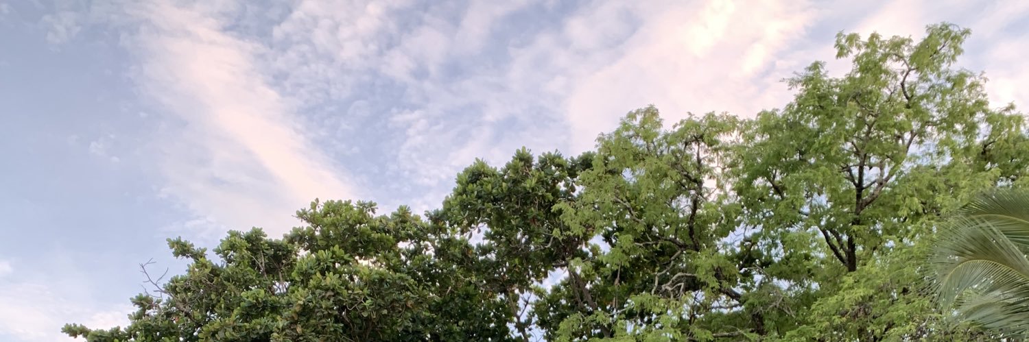 salwauliah's profile banner image