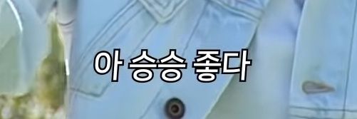보색 banner