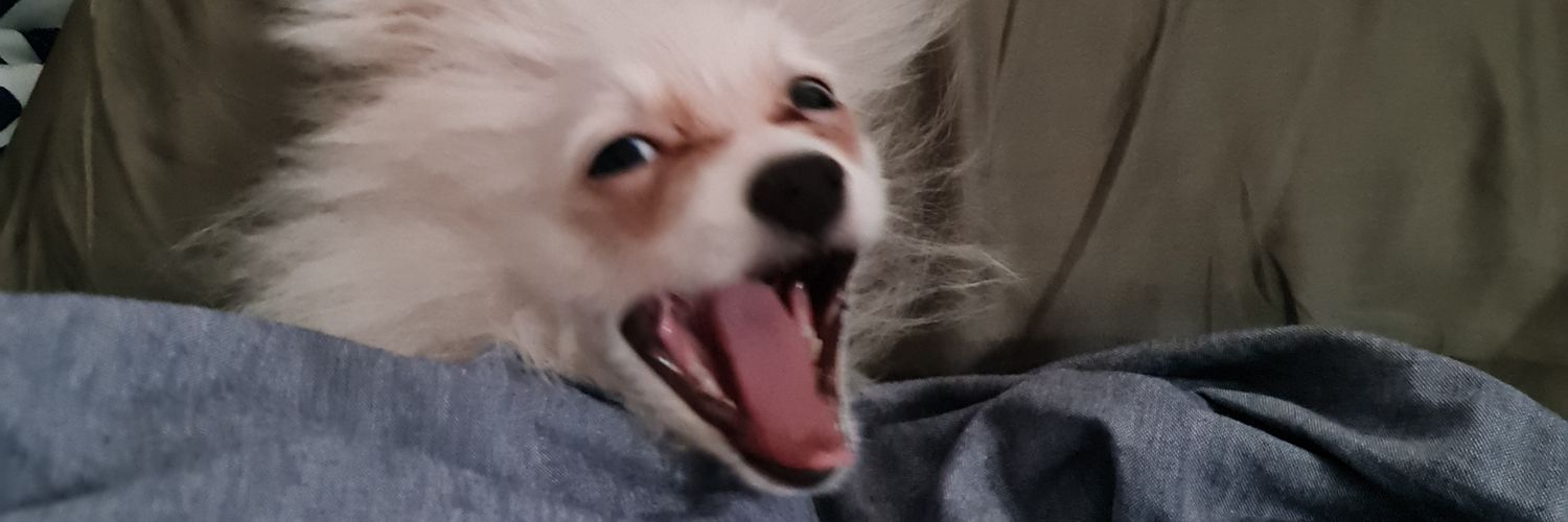 otaknows's profile banner image