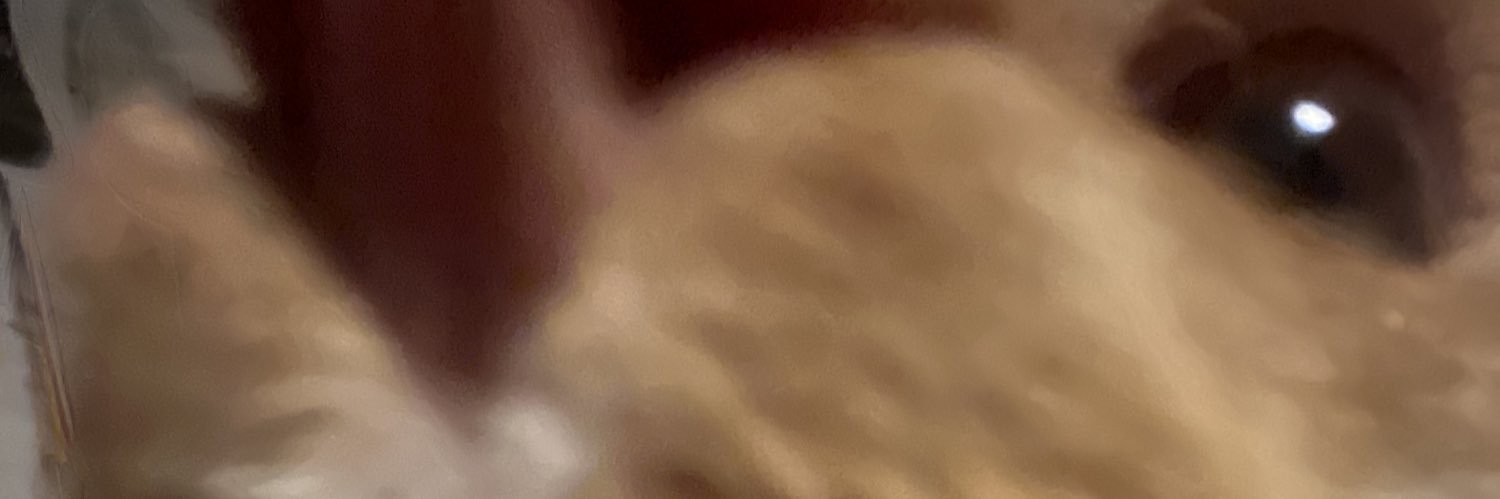 b_raywxz's profile banner image