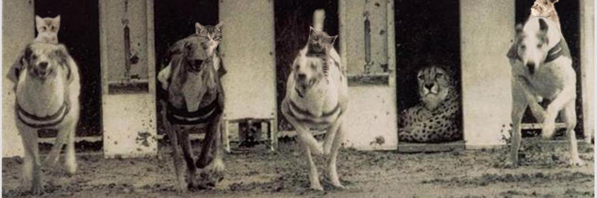 Kenyan Navarre banner