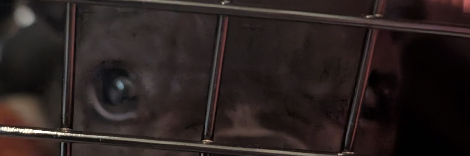 T's banner