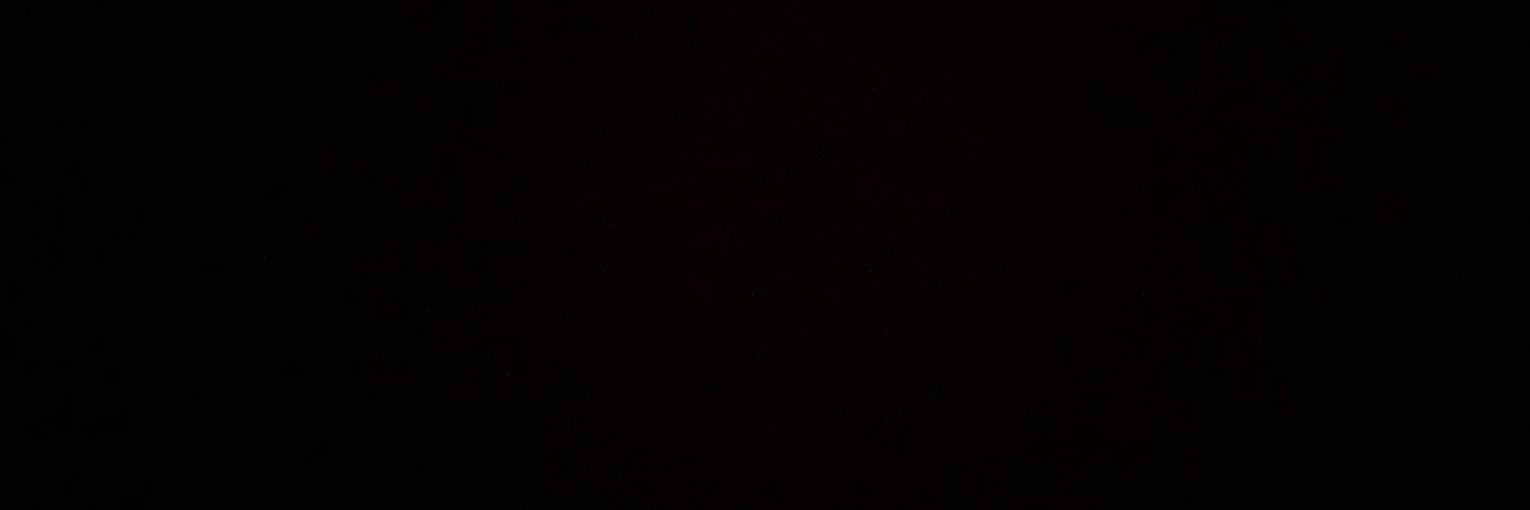 zeynaz_t's profile banner image