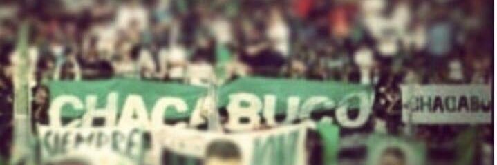 levatowsky's profile banner image