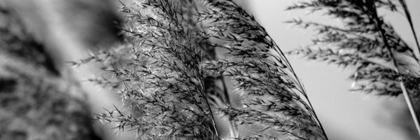 simonlexton Profile Banner