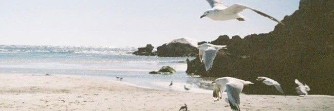 aceeeezz's profile banner image