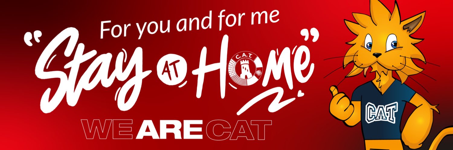 CATtorreon's profile banner image