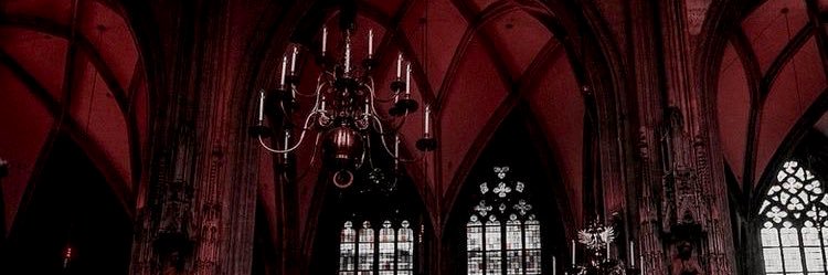terzozenith's profile banner image