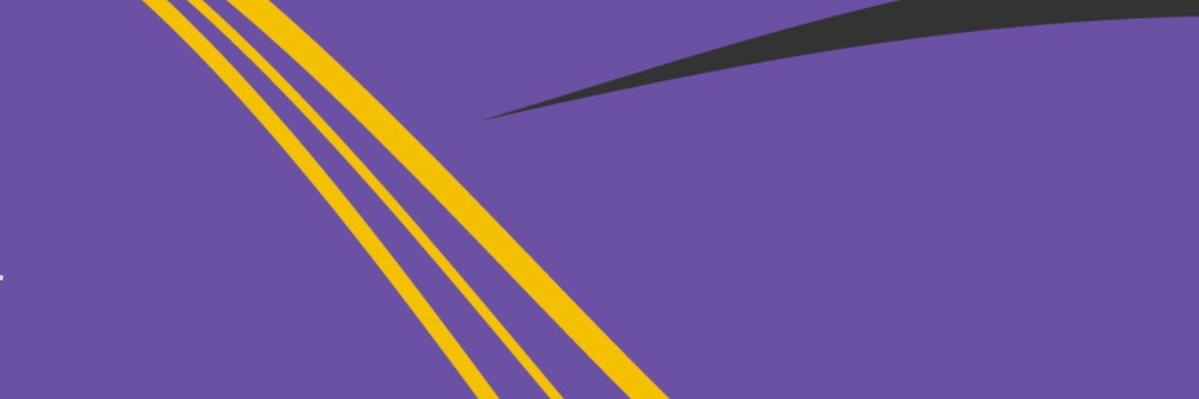 sarah slobin banner