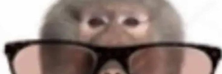 adysswalker347's profile banner image