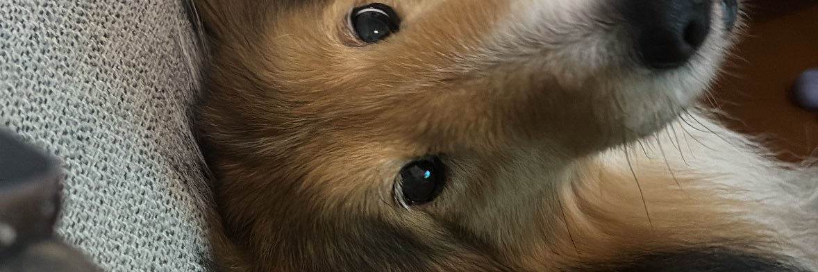 biaboav's profile banner image