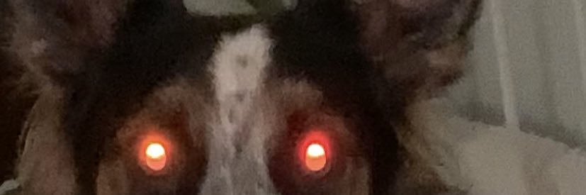 sudoe7's profile banner image