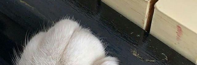 MMIND_48's profile banner image