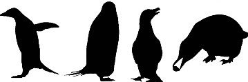 ダイスケ🐧🐧🐧🐧 banner