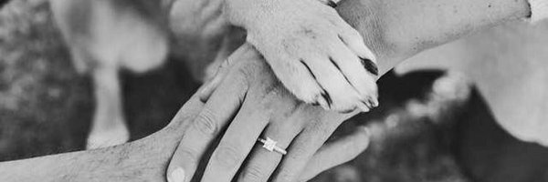 alexmaun Profile Banner