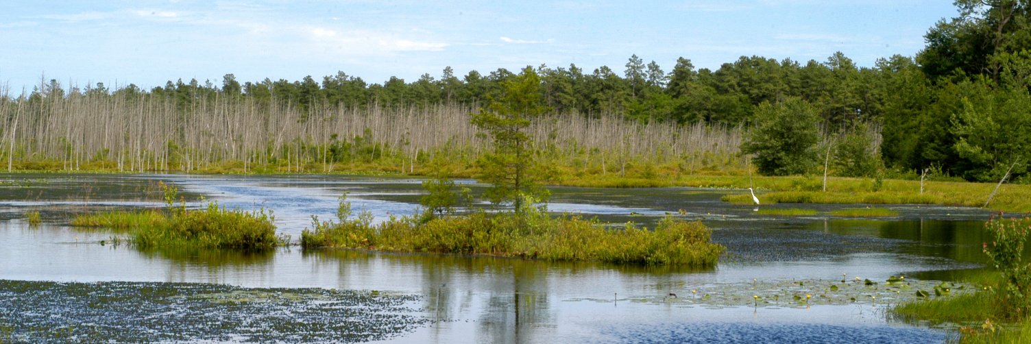 New Jersey Conservation Foundation banner