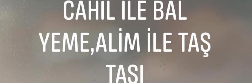 aliayik's profile banner image