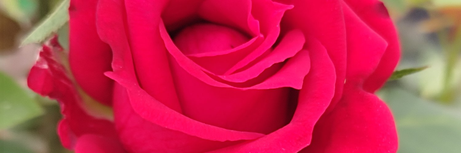 labonideb's profile banner image