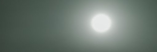 Anggrek cinta banner