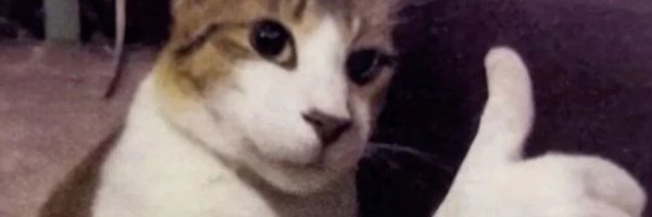 August_S099 Profile Banner