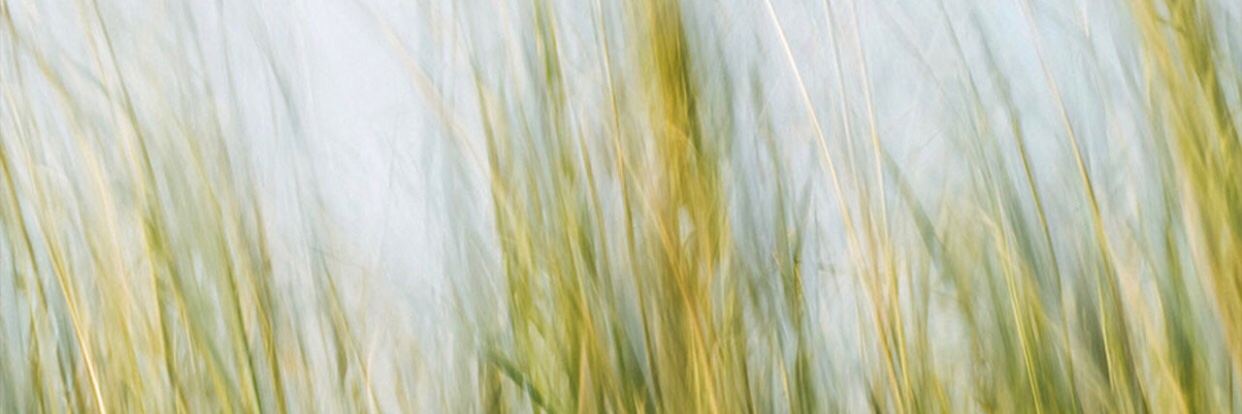 NguyenHa8858's profile banner image