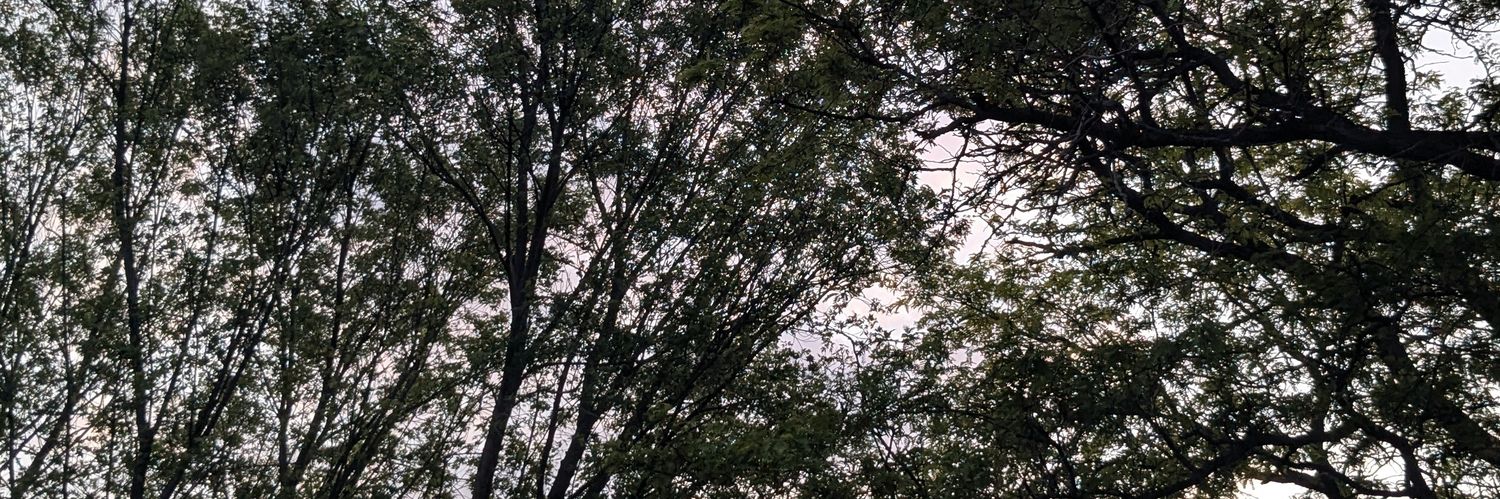 x__-'s banner