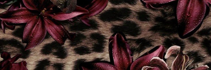 fxirytrail_01's profile banner image