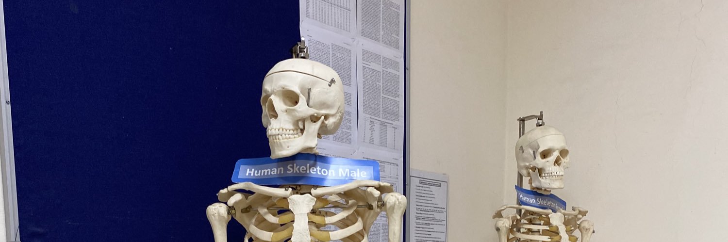 𝑅𝑜𝓈𝑒 𐙚 banner