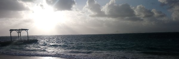 BlorgDraws Profile Banner