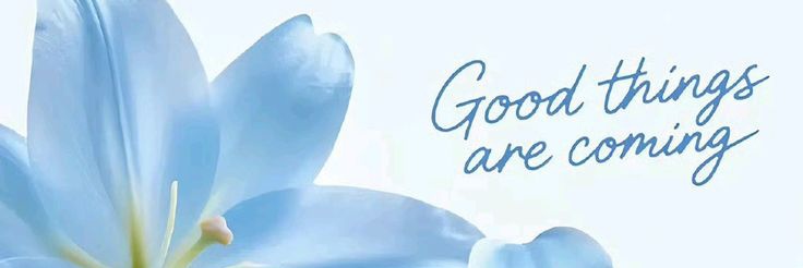 𝙨𝙝𝙖𝙖 banner