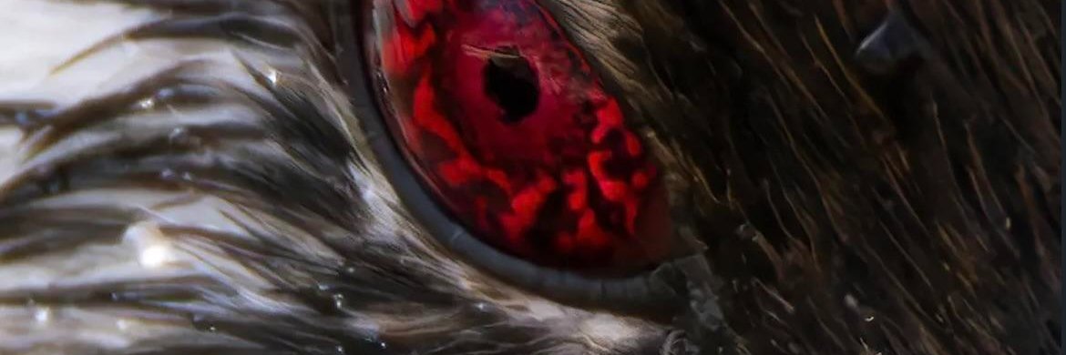 _angvstia's profile banner image