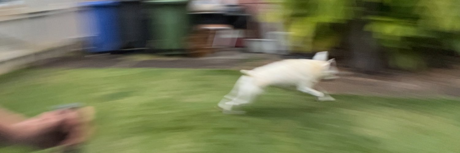 gwubbyp's profile banner image