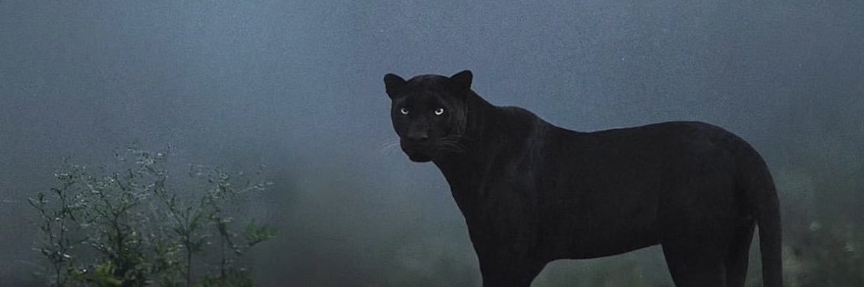 _Kattegat_'s profile banner image