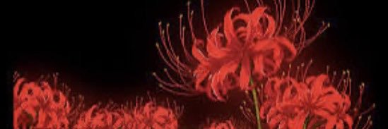 PsychoReaper118 banner