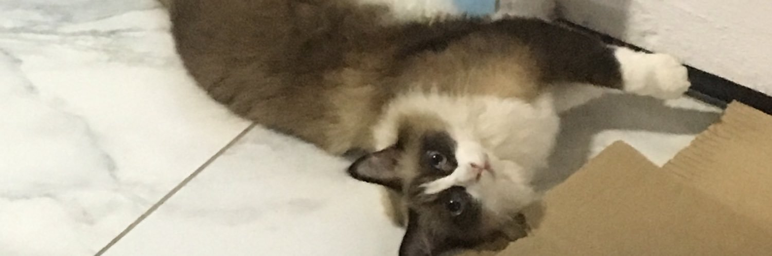 phellipe_campos's profile banner image