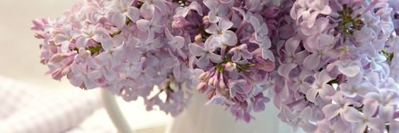 delaneybsimcox's profile banner image