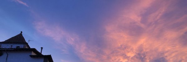 xevigut Profile Banner