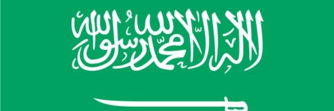 كل عام والسعوديه بخير 💚 banner
