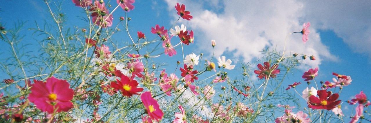 a0923u's profile banner image