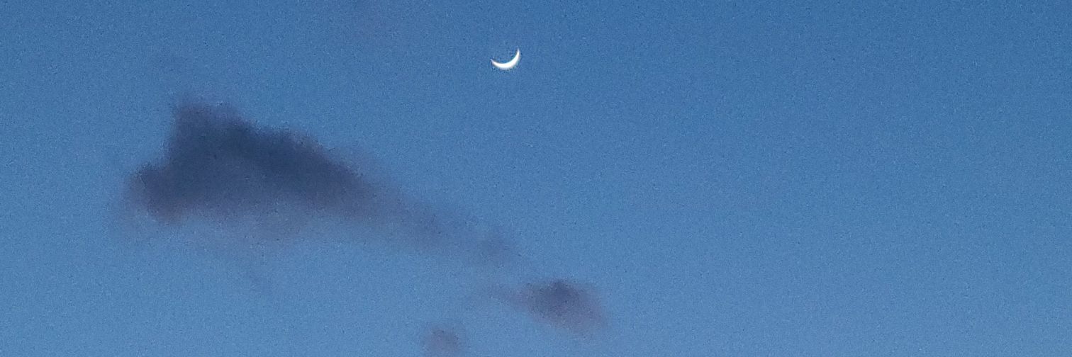 Miss Heather H banner