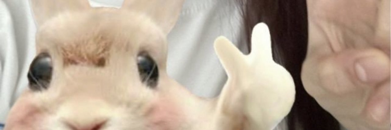waltzingfish's profile banner image