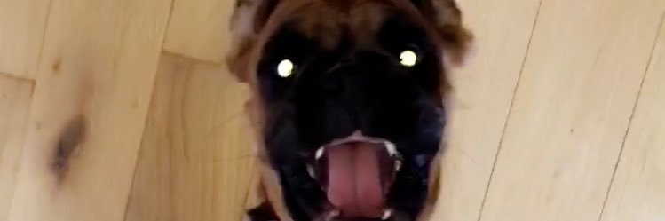LucRichmond_'s profile banner image