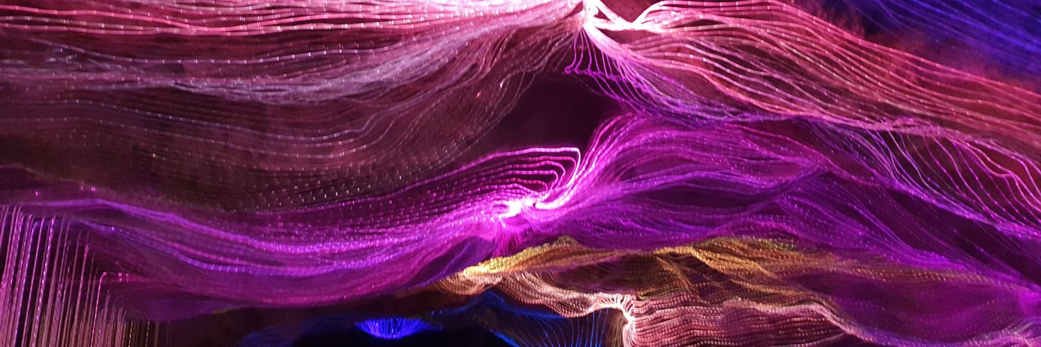 POLOLAXB's profile banner image