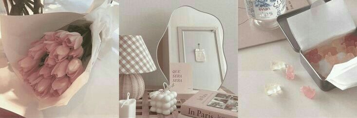 northeast🧑‍🎨 banner