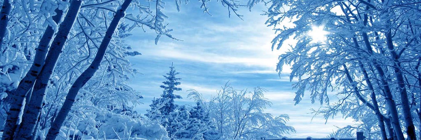 TennesseeMom2's profile banner image
