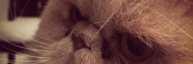 ferabril's profile banner image